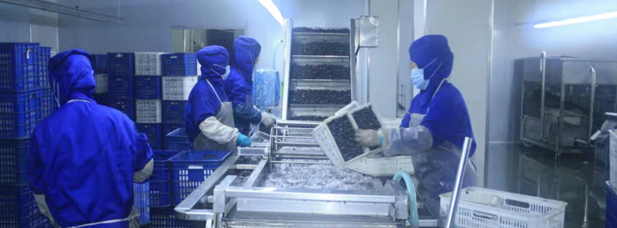 1關于我們_09.jpg 1關于我們_09.jpg