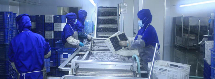 手機簡介_06.jpg 手機簡介_06.jpg